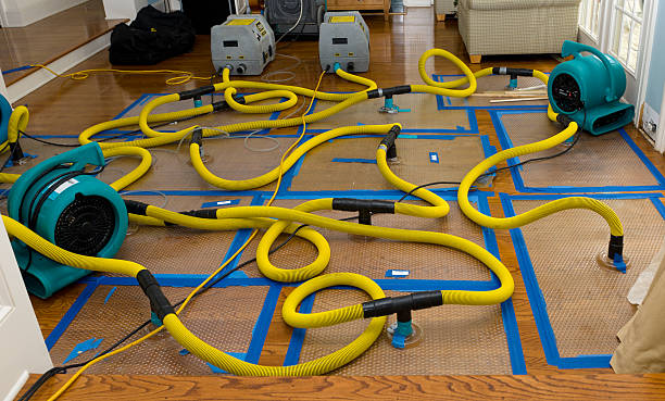 Professional Structural Drying And Dehumidification technician working in Mocksville, NC
